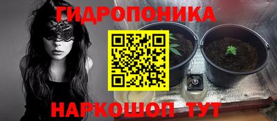 mdma Кингисепп