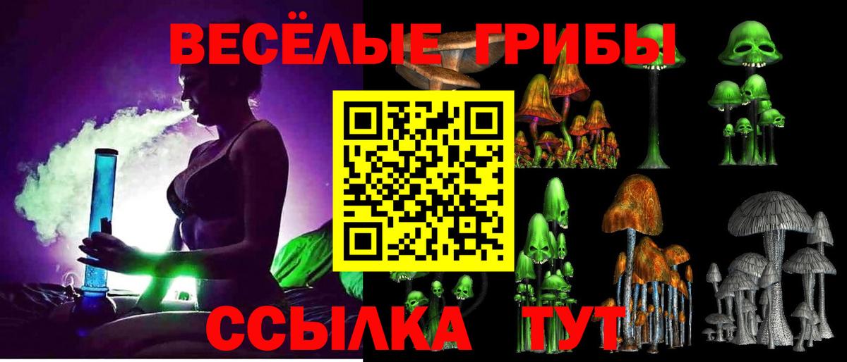 Галлюциногенные грибы Cubensis Шебекино