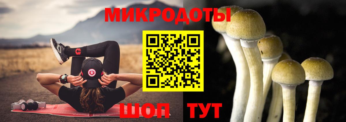 Псилоцибиновые грибы Magic Shrooms  Вход с VPN  Шебекино 